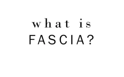 What is Fascia?