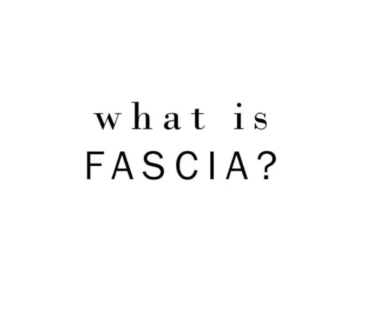 What is Fascia?