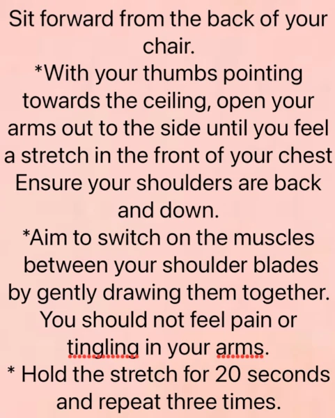 The chest stretch