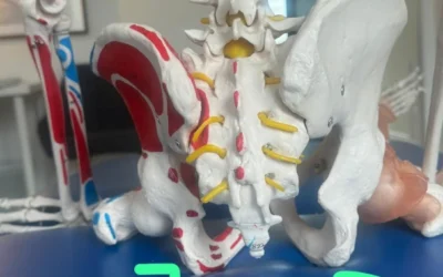 Desk Ergonomics: How to Sit Well and Protect Your Back